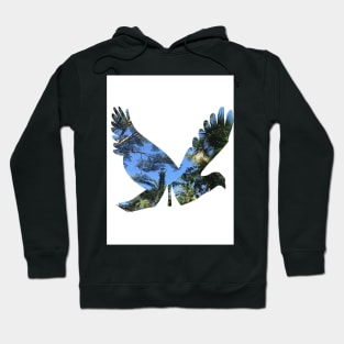 Birds of a feather Hoodie